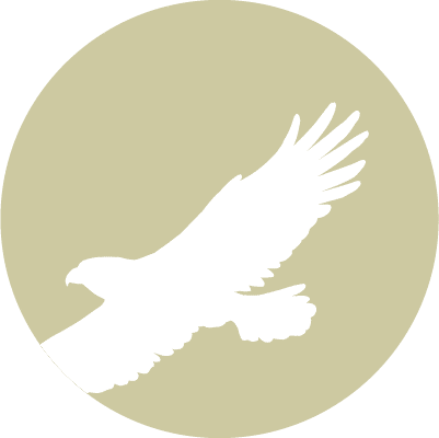 birds-icon