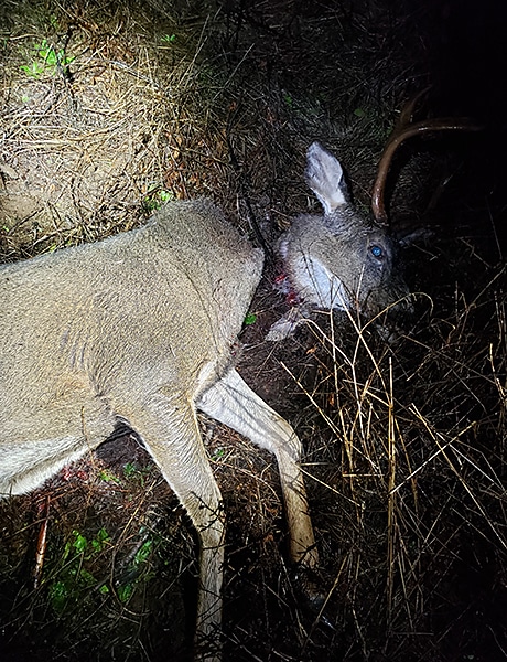 A poacher cut the head off of a buck deer in Lane County, then took off in a white flatbed truck. OSP Fish and Wildlife Troopers would like the public to call in if they have any information on a white late-model Chevy 3500 Diesel seen near Upper Camp Creek Road on Dec. 9.