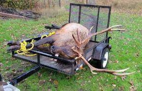 061522_Poachers pay over $15,000 for poaching elk, buck deer